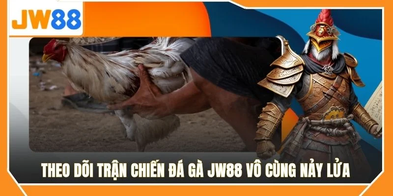 Theo dõi trận chiến đá gà JW88 vô cùng nảy lửa